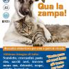 QUA LA ZAMPA!